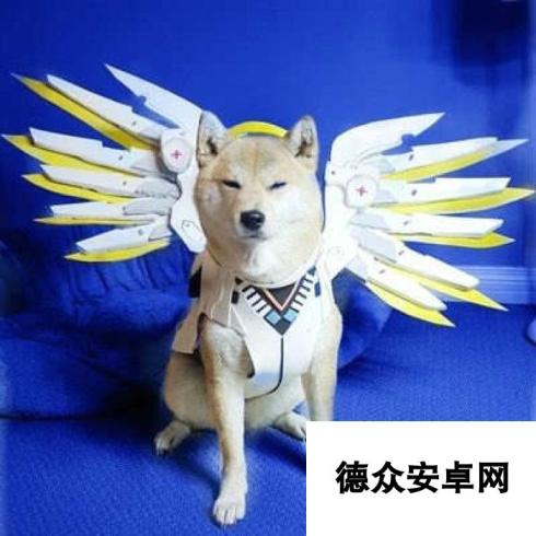 当Doge遇上OW 柴犬神COS守望先锋英雄